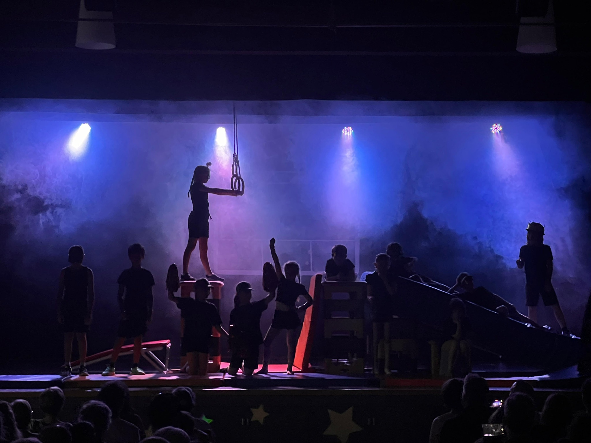 Le Spectacle Annuel