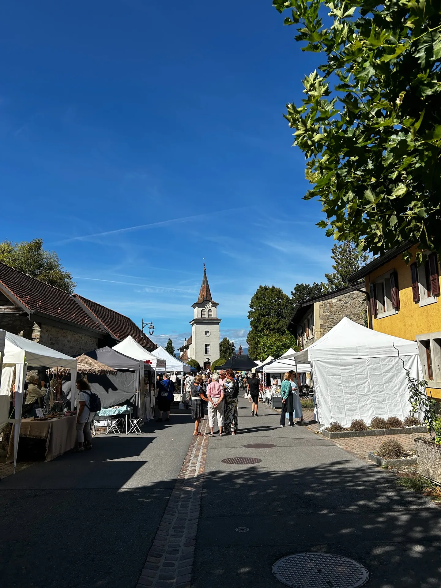 IMG_3732